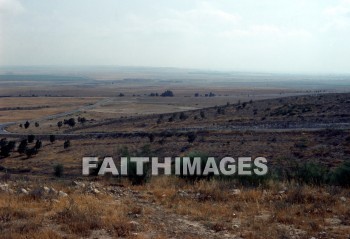 Negeb, Negev, desert, wilderness, region, Flock, vegetation, Egypt, Abram, deserts, wildernesses, regions, flocks, vegetations