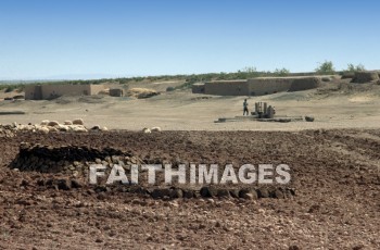 Shepherd, pasture, haran, sheep, turkey, Mesopotamia, shepherds, pastures, turkeys