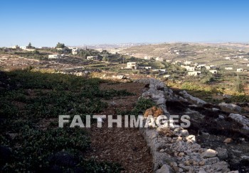 Beth-zur, Rehoboam, House, rock, city, kingdom, hill, houses, rocks, cities, kingdoms, hills