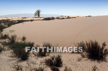 Negeb, Negev, desert, dead, sea, deserts, seas