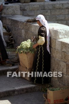 bedouin, woman, selling, Grape, women, grapes