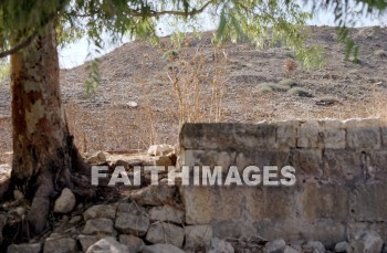 Kedesh, Naphtali, tree, wall, fence, rock, hill, archaeology, ancient, culture, Ruin, trees, walls, fences, rocks, hills, ancients, cultures, ruins