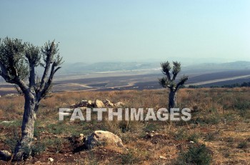 Aijalon, Shephelah, Valley, creation, nature, tree, Joshua, prayed, sun, stand, valleys, creations, natures, trees, suns, stands