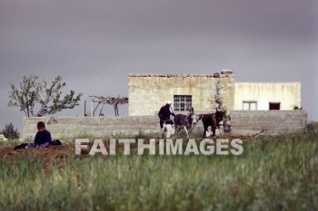 Esthemoa, plowing, family, home, House, shelter, man, boy, field, work, agriculture, farming, farmer, tilling, families, homes, houses, shelters, men, boys, fields, works, agricultures, farmers