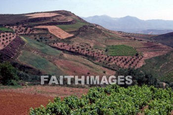 crete, Herakleion, southeast, hillside, mountain, creation, nature, hillsides, mountains, creations, natures