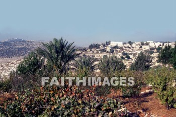 Beth-horon, lower, upper, vegetation, hill, mountain, building, city, tree, creation, nature, vegetations, hills, mountains, buildings, cities, trees, creations, natures