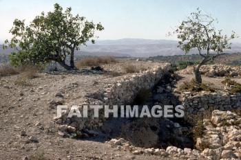 Ai, settlement, protective, wall, archaeology, ancient, culture, Ruin, settlements, walls, ancients, cultures, ruins