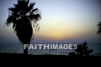 Mediterranean, sea, mount, Carmel, palm, tree, sunset, creation, seas, mounts, palms, trees, sunsets, creations