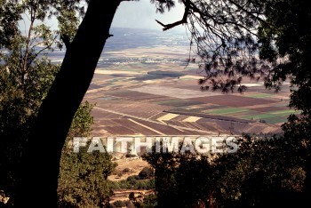 Jezreel, Valley, mount, Carmel, farm, field, tree, valleys, mounts, farms, fields, trees