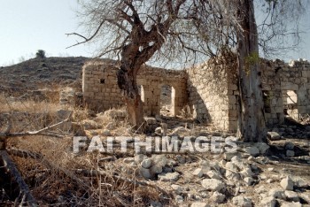 Kedesh, Naphtali, tree, House, Ruin, rock, hill, archaeology, ancient, culture, trees, houses, ruins, rocks, hills, ancients, cultures