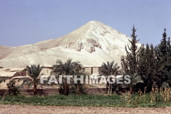 Jericho, mountain, Ruin, Khirbet, al, Mafjar, palm, tree, House, building, mountains, ruins, palms, trees, houses, buildings
