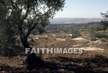 Ai, countryside, tree, hill, mountain, rock, archaeology, ancient, culture, Ruin, countrysides, trees, hills, mountains, rocks, ancients, cultures, ruins