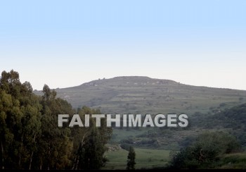 lachish, mountain, hill, tree, creation, nature, mountains, hills, trees, creations, natures