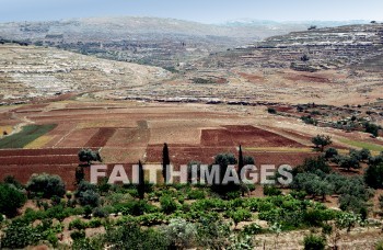 Gibeon, Gibea, Valley, hill, mountain, city, town, creation, nature, Worship, background, Presentation, plant, valleys, hills, mountains, cities, towns, creations, natures, presentations, plants