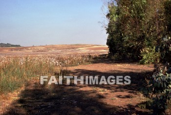 Timnah, hill, tree, vegetation, shade, creation, nature, Worship, hills, trees, vegetations, shades, creations, natures