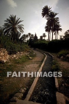 Jericho, Elisha, spring, path, road, tree, palm, archaeology, ancient, culture, Ruin, springs, paths, roads, trees, palms, ancients, cultures, ruins