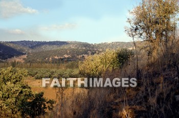 Harosheth, hill, tree, vegetation, creation, nature, Worship, hills, trees, vegetations, creations, natures