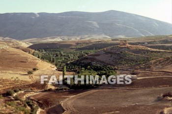 Tirzah, Tel, el, Para, Valley, mountain, tree, building, road, valleys, mountains, trees, buildings, roads