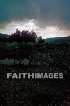 hebron, storm, cloud, sky, tree, creation, nature, Worship, background, rain, storms, clouds, skies, trees, creations, natures