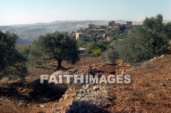 Beth-aven, Bethaven, tree, hill, Ruin, rock, building, archaeology, ancient, culture, trees, hills, ruins, rocks, buildings, ancients, cultures