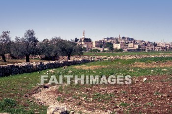 bethlehem, Shepherd, field, fence, building, city, shepherds, fields, fences, buildings, cities