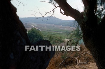 Elah, Valley, Kefar, Zekharia, tree, hill, mountain, creation, nature, Worship, valleys, trees, hills, mountains, creations, natures
