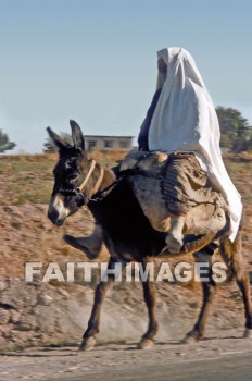 Cappadocia, woman, donkey, road, animal, women, Donkeys, roads, animals