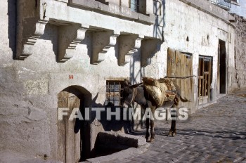 donkey, Cappadocia, building, door, street, animal, Donkeys, buildings, doors, streets, animals