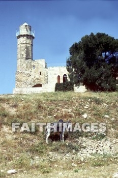 Nebi, samwil, Samuel, tomb, building, hill, fence, road, archaeology, ancient, culture, Ruin, burial, grave, death, coffin, tombs, buildings, hills, fences, roads, ancients, cultures, ruins, burials, Graves