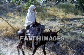 woman, donkey, Asia, transportation, riding, animal, women, Donkeys, transportations, animals