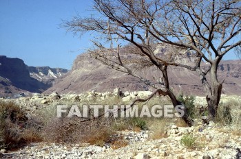Masada, mountain, fortress, Herod, great, judean, desert, stronghold, jew, jerusalem, Roman, mountains, deserts, strongholds, Jews, Romans