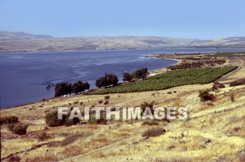 Ein, Gev, Geshur, territory, sea, shore, crop, pasture, boat, hill, inland, territories, seas, shores, crops, pastures, boats, hills