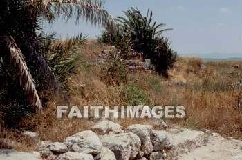 Megiddo, Ruin, archaeology, antiquity, rock, boundary, fence, hill, palm, tree, stable, horse, Solomon, ruins, rocks, boundaries, fences, hills, palms, trees, Stables, horses