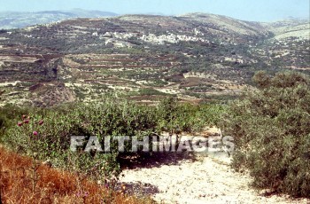 Samaria, region, city, mountain, regions, cities, mountains