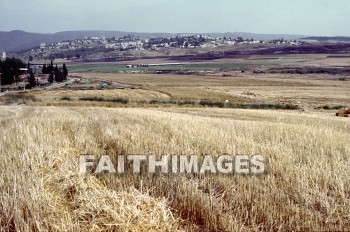 beth-shemesh, joahs, Amaziah, Judah