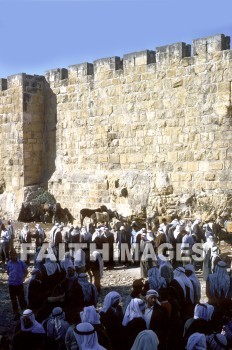 bedouin, jerusalem, sheep, market, city, wall, markets, cities, walls