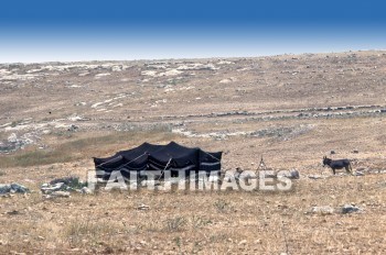 bedouin, tent, home, House, housing, residence, family, tents, homes, houses, residences, families