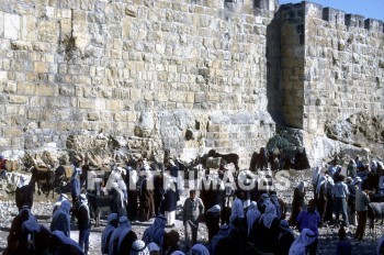 jerusalem, wall, bedouin, sheep, market, walls, markets