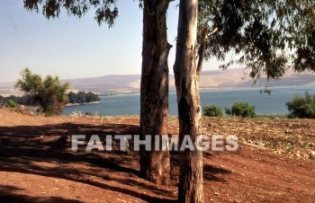 Capernaum, sea, Galilee, Northern, shore, Jesus', home, ministry, seas, shores, homes, ministries