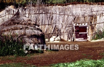 Sheepfold, sheep, door, thatch, protect, protects, protected, protecting, guard, guarded, guarding, security, doors, thatches, guards, securities