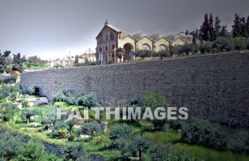 mount, Olive, jerusalem, garden, Gethsemane, Basilica, Agony, traditional, site, Jesus, prayed, Pray, prays, praying, prayer, mounts, Olives, sites, prayers