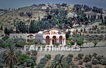 garden, Gethsemane, mount, Olive, Basilica, Agony, traditional, site, Jesus, prayed, Pray, prays, praying, prayer, mounts, Olives, sites, prayers