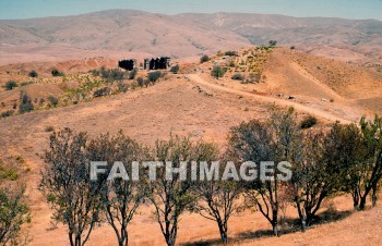 antioch, pisidia, turkey, hill, tree, Landscape, turkeys, hills, trees, landscapes