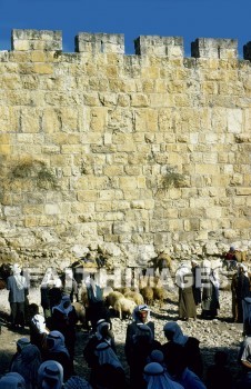 bedouin, sheep, market, jerusalem, wall, people, crowd, lifestyle, costume, Clothing, dress, markets, walls, peoples, crowds, Costumes, dresses