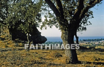 troas, turkey, archaeology, ancient, culture, Ruin, paul, Macedonian, vision, Second, missionary, journey, turkeys, ancients, cultures, ruins, Visions, seconds, missionaries, journeys