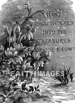 treasure, winter, snow, season, treasures, winters, snows, seasons