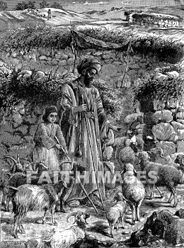 Shepherd, good, dividing, sheep, Goat, separate, judge, reward, punish, shepherds, goods, goats, Judges, rewards