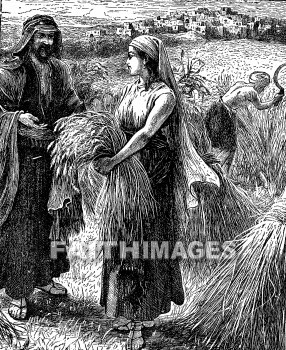 Ruth, glean, Gleaning, field, Boaz, grain, farming, agriculture, fields, grains, agricultures