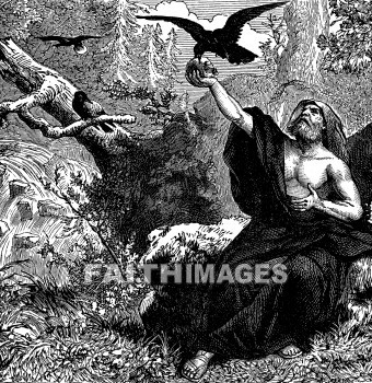Elijah, fed, ravens, food, provision, foods, provisions