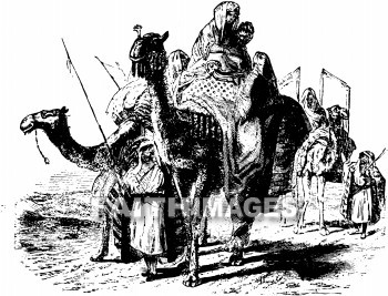 caravan, Camel, caravans, camels